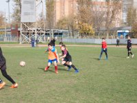 IMG_8738